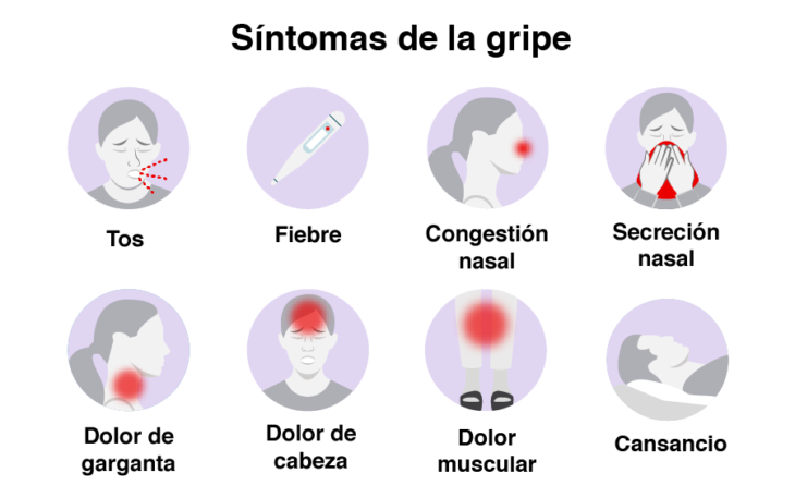 Infografía de los síntomas de la gripe