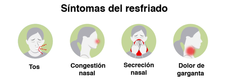 Infografía de síntomas de resfriado 