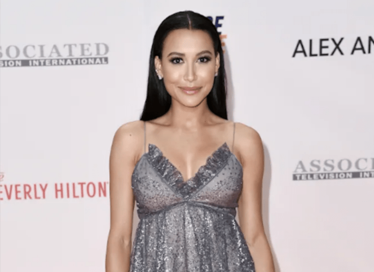 Naya Rivera en una alfombra roja lleva un vestido gris y su cabello suelto