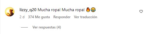 Captura de pantalla de un comentario de una fan de Chayanne