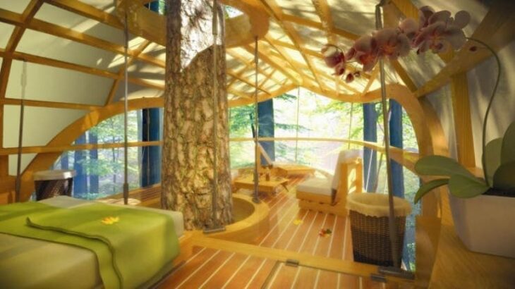 Árbol dentro de un departamento; 12 Pruebas de que la naturaleza puede ser la mejor amiga de la arquitectura