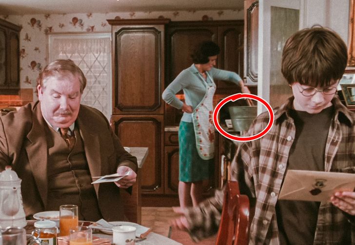 Familia Dursley ;13 Detalles de Harry Potter que solo un muggle no ha notado