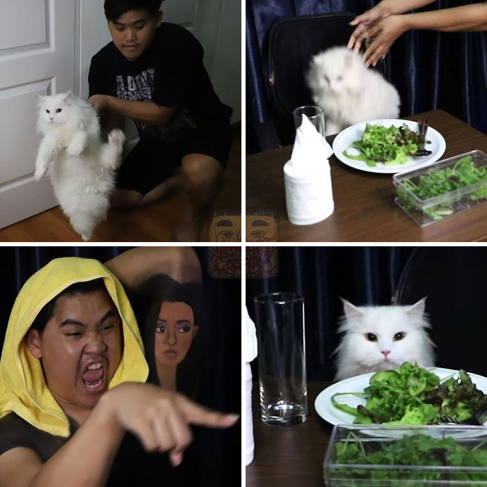 Cosplay de Anucha Saengchart como el gato del meme