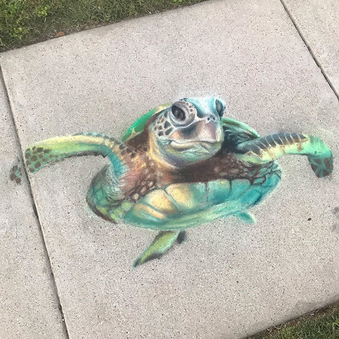Tortuga marina dibujada con tiza