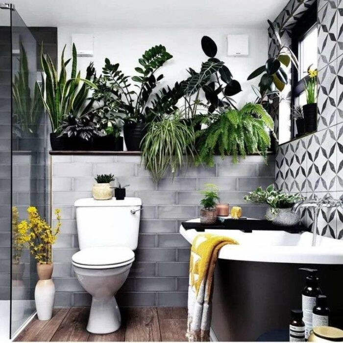 Plantas decorando un espacio en la casa