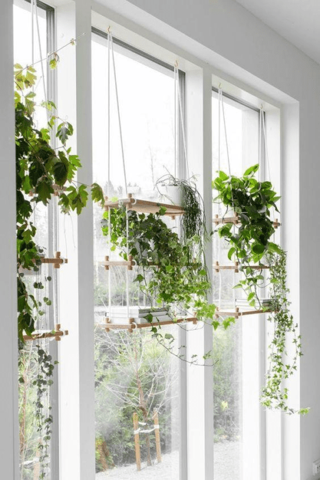 Plantas decorando un espacio en la casa