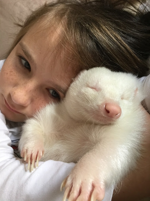 Niño abraza a mofeta albina