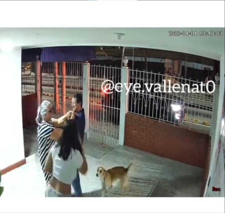 captura de pantalla de una familia abrazándose rodeada de sus perros