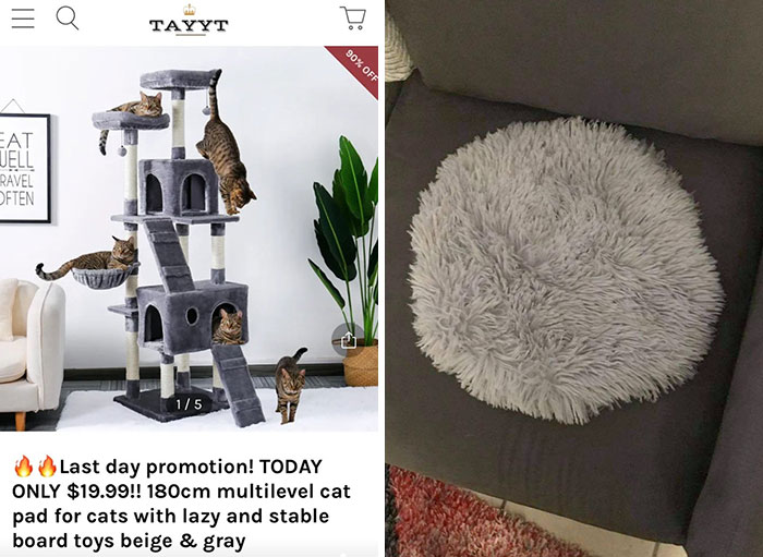 Comparativa casa con gatos jugando y tapete