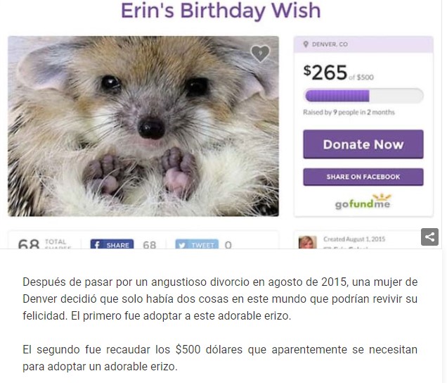 Peticiones de GoFoundMe que solo dan risa 