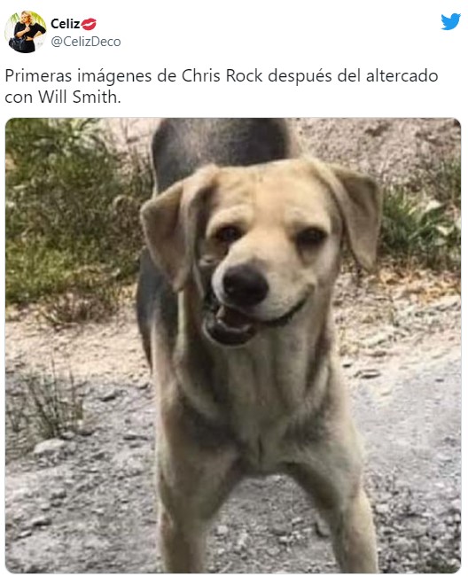 Meme del momento entre Will Smith y Chris Rock