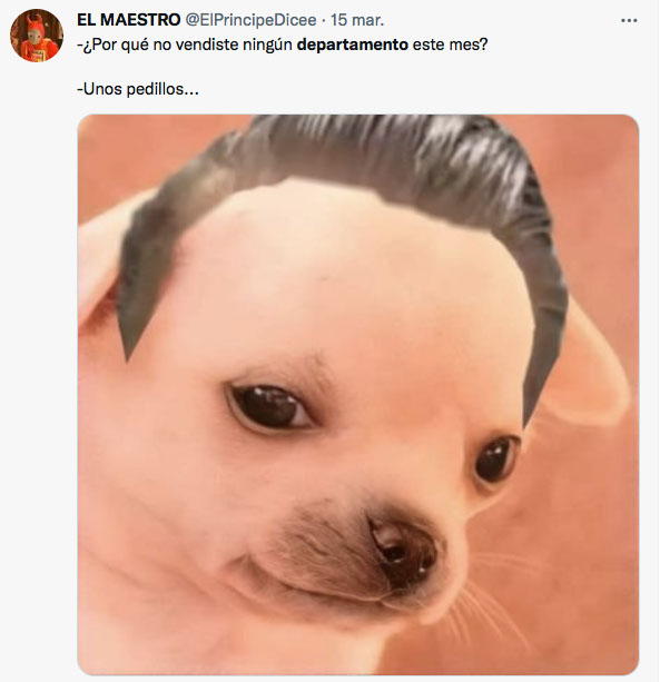 meme del perrito de unos pedillos en cuántos depas has vendido