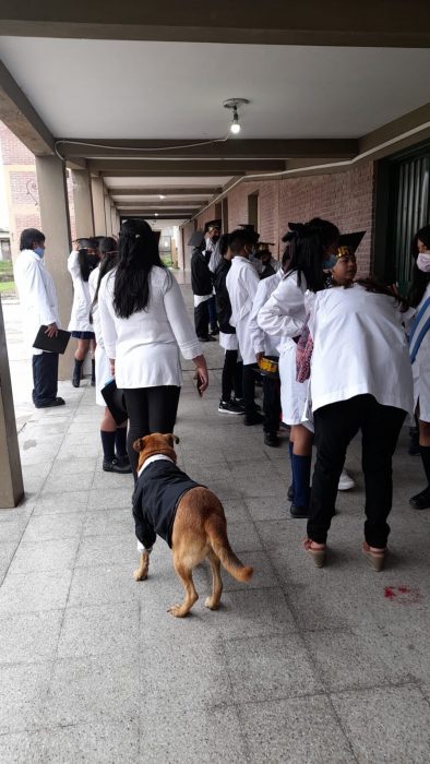 foto de un perrito formado detrás de unas personas en el patio de una escuela
