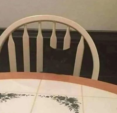 Personas, animales y cosas que se camuflajearon muy bien con su entorno
