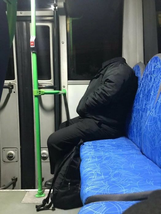 Personas, animales y cosas que se camuflajearon muy bien con su entorno