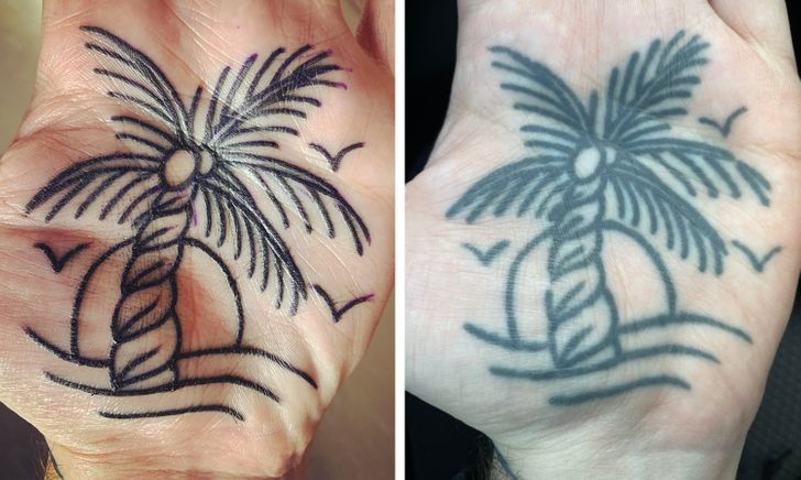 Palmera; 14 Tatuajes en el día en que se hicieron vs actualmente