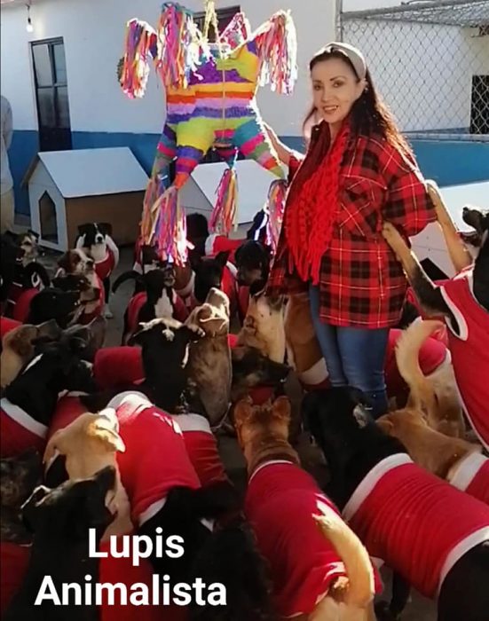 mujer vestida de rojo rodeada de perros con suéteres de Santa