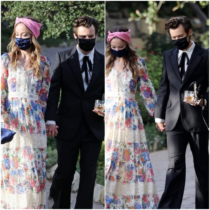 Olivia Wilde y Harry Styles