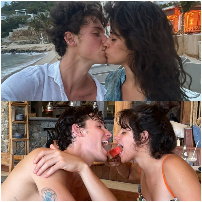 Shawn Mendes y Camila Cabello