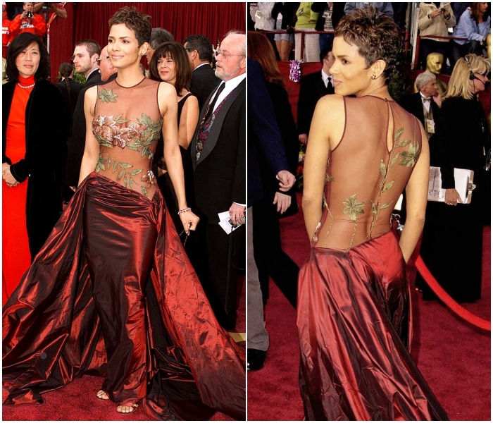 Halle Berry en Elie Saab