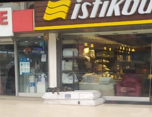 Perritos duermen en colchones afuera de una tienda de muebles