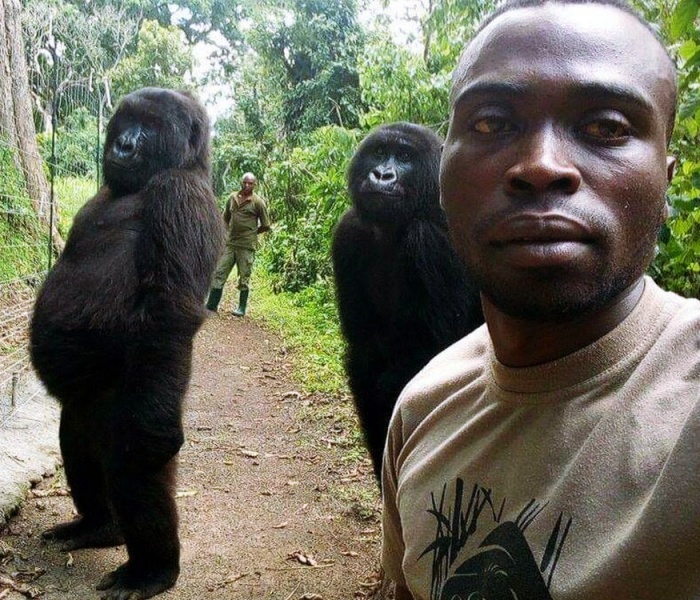 Ndakasi y Mathieu Shamavu