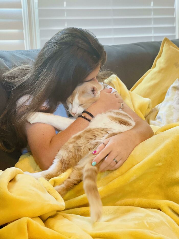 Chica cargando un gato; 19 Mascotas rescatadas que te alegrarán el día