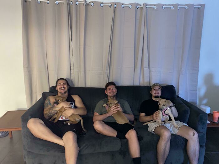 Hombres cargando perros; 19 Mascotas rescatadas que te alegrarán el día