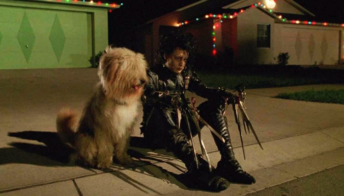Edward Scissorhands