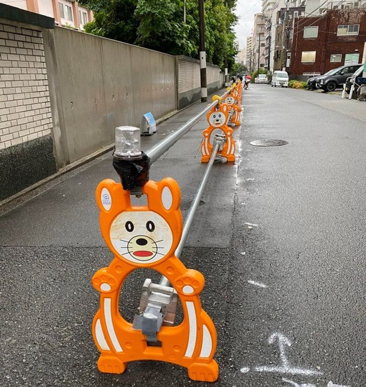 Conos naranjas; 15 Fotos que demuestran que Japón es el país más kawaii del mundo