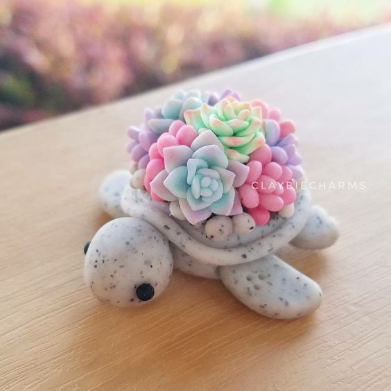 Suculentas chiquitas para decorar un espacio