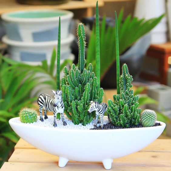 Suculentas chiquitas para decorar un espacio