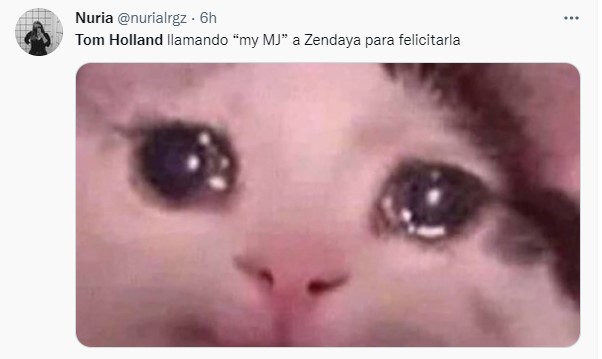 Comentarios en redes sobre el cumpleaños de Zendaya
