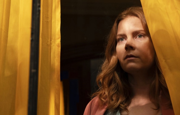 The Woman In The Window