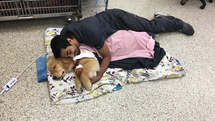Veterinario durmiendo en el piso ;20 Mascotas que se mostraron amorosamente agradecidos con sus veterinarios