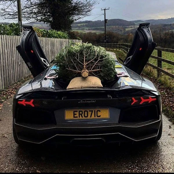 Auto de lujo con un árbol encima ;20 'Niños ricos' en Instagram que presumen todo lo que compran con el dinero de papá