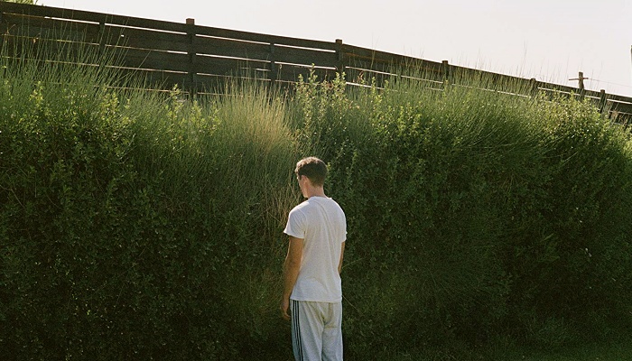 Dogtooth