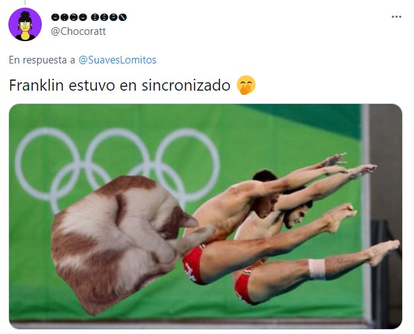 Memes de perritos en clavados