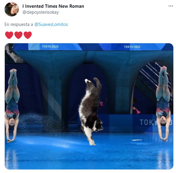 Memes de perritos en clavados