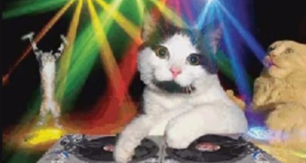 Fiesta en la discoteca ;15 Vecinos tan molestos que no te gustaría vivir en su vecindario