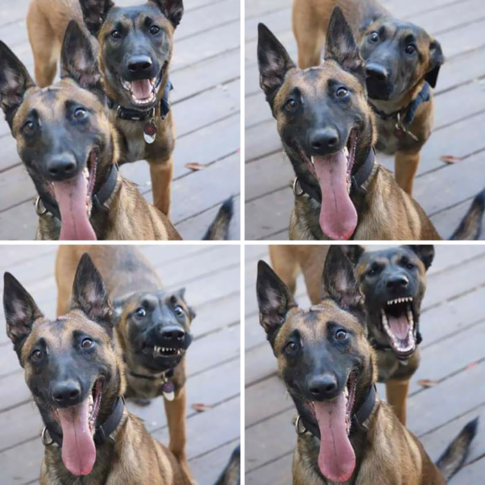 Personas siendo photobombeadas durante una sesión de fotos