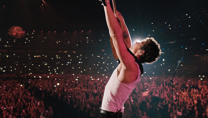 Shawn Mendes: In Wonder
