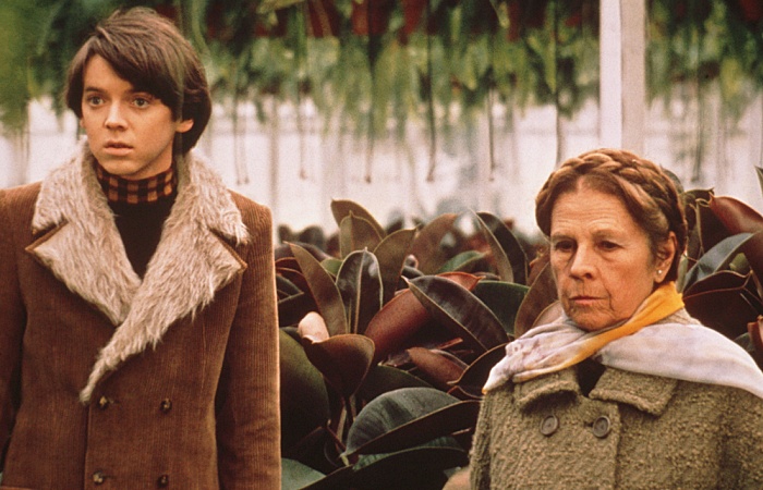 Harold And Maude