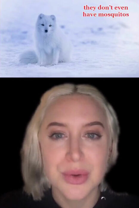 Chica contando en un video en TikTok por qué Islandia es el mejor lugar del mundo