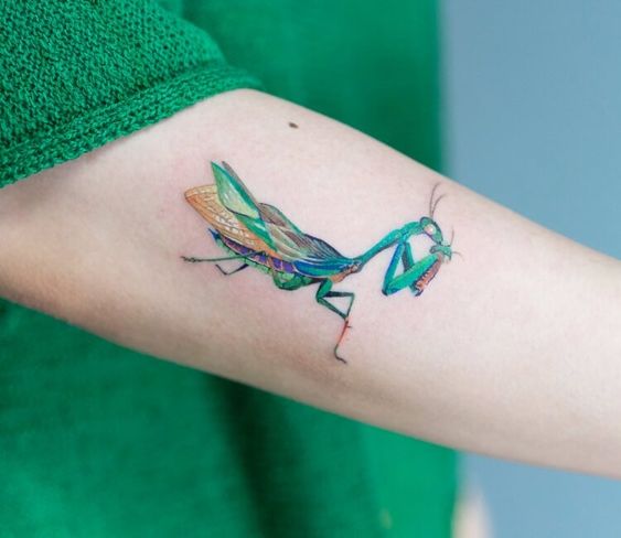 Mantis religiosa ;15 Hermosos insectos que sí querrás llevar sobre tu piel