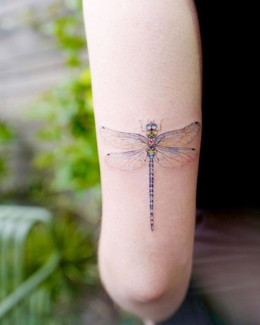 Libélula  ;15 Hermosos insectos que sí querrás llevar sobre tu piel