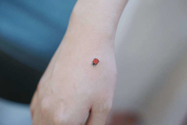 Catarina ;15 Hermosos insectos que sí querrás llevar sobre tu piel