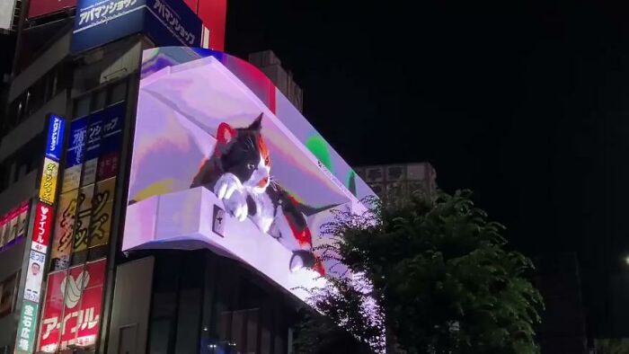Valla publicitaria que muestra a un gato hiperrealista en 3D