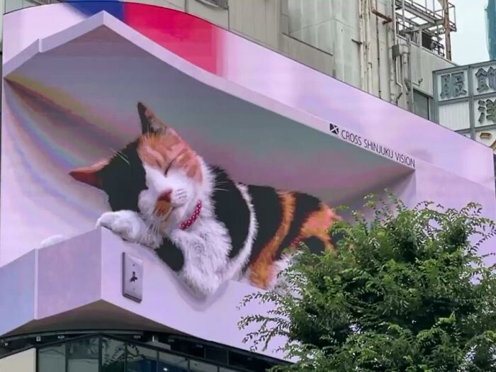 Valla publicitaria que muestra a un gato hiperrealista en 3D