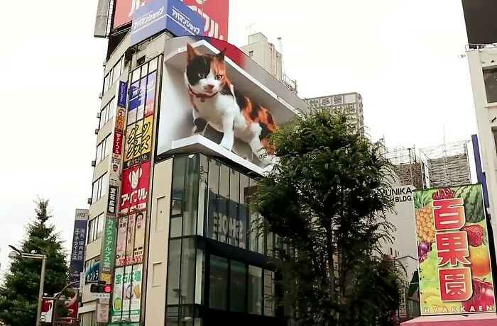 Valla publicitaria que muestra a un gato hiperrealista en 3D